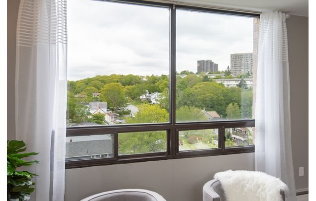 1 bedroom apartment of 8611 sq. ft in Halifax