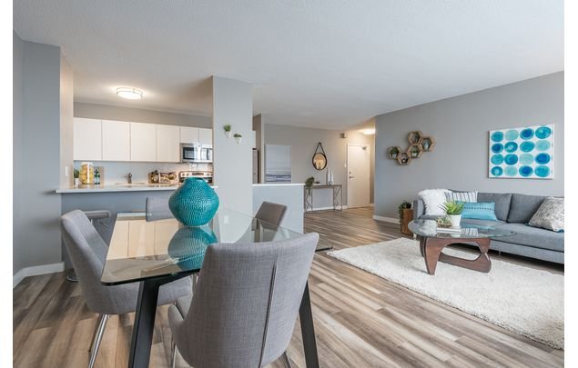 1 bedroom apartment of 8611 sq. ft in Halifax