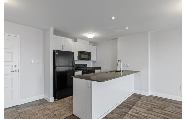 Rent 1 bedroom apartment in Dartmouth