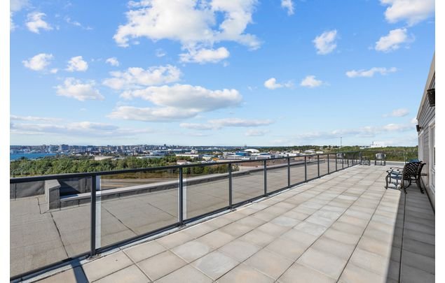 Rent 1 bedroom apartment in Dartmouth