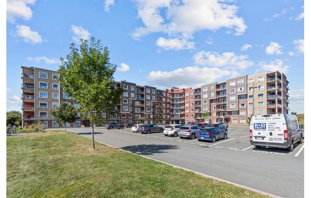 Rent 1 bedroom apartment in Dartmouth