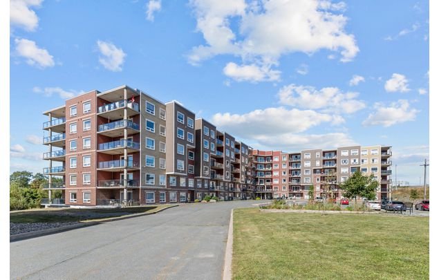 Rent 1 bedroom apartment in Dartmouth