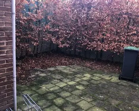 Furnished Room for rent • Born, Sittard