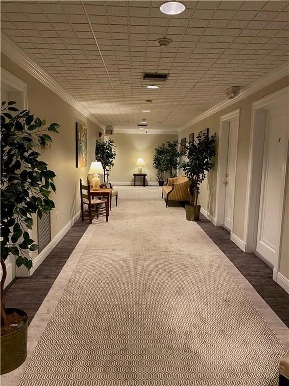 ONE BEDROOM RENTAL IN NEW ORLEANS, LOUISIANA