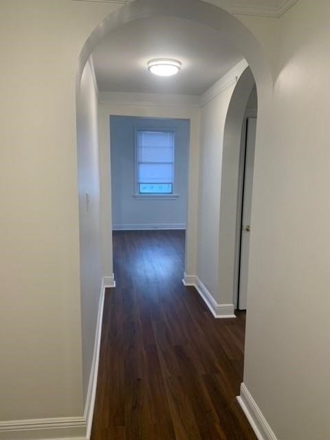 ONE BEDROOM RENTAL IN NEW ORLEANS, LOUISIANA