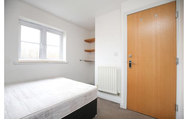 Rent 1 bedroom house in Newcastle upon Tyne